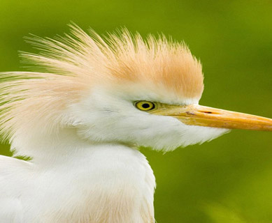 মাইক্রোসফট অফিসে সমস্যা এর সমাধান কি?