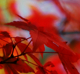 how to create a digital clock in visual basic