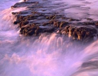 Bangla Tota(by Abir)