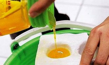 কিভাবে বুঝবেন যে আপনি যে ডিমটি খাচ্ছেন তা কৃত্রিম ডিম নয়? – একটি জনসচেতনতা মুলক টিউন