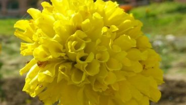 কম্পিউটারের properties এ আপনার ছবি সহ পরিচয় দিন