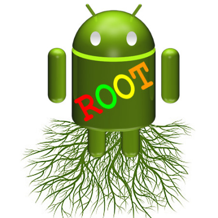 “রুট” দুই অক্ষরের একটি আলোচিত শব্দ।জেনে নিন Root এর আদোপান্ত্য। কি, কেন সব।