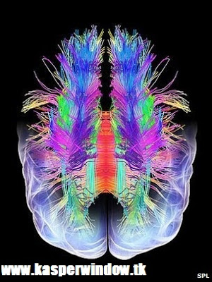 আসছে ড্রিম মেশিন : স্বপ্নকে পড়বেন বিজ্ঞানীরা