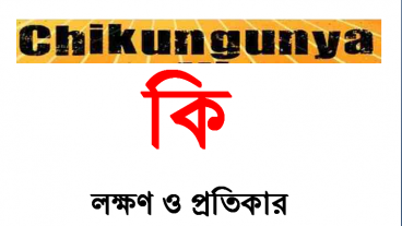 যেনে নিন চিকুনগুনিয়া কি  লক্ষণ ও এর প্রতিকার।