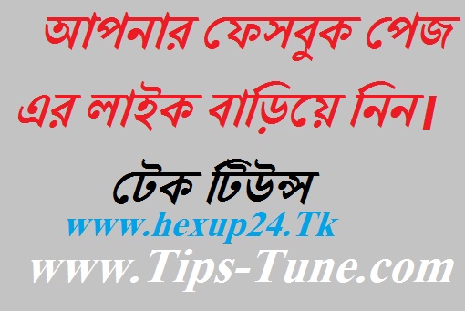 আপনার ফেসবুক  পেজের লাইক বাড়িয়ে নিন সহজে