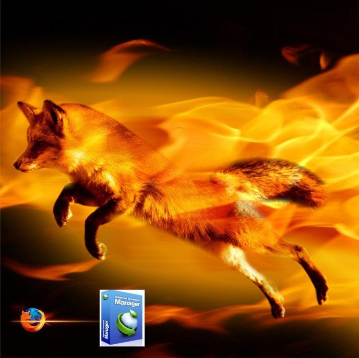 ফায়ারফক্স ৪ অথবা কমেটবার্ড ৪ এ আইডিএম এক্সটেন্সান/আইডিএম দিয়ে ডাউনলোড সংক্রান্ত সমস্যা?? সমাধান এখানে..!!!!