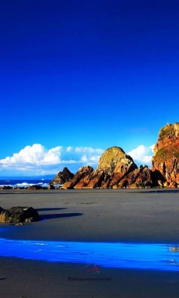 সাহায্য চাই এন্ড্রয়েড ফোনের জন্য