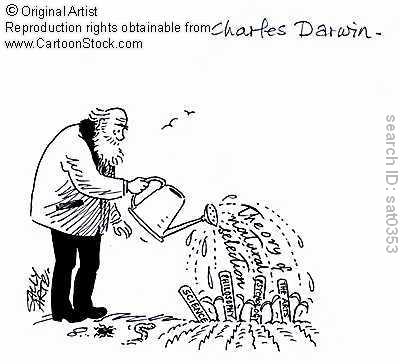 বিজ্ঞান আপনার বাগানের মালীর কাজ করবে !!!