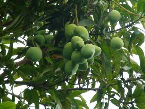 চাষির কথা মাথায় রেখে এই লেখা আসুন একটু ভেবে দেখি