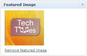 WORDPRESS er bisoye jurori help chai….pls help