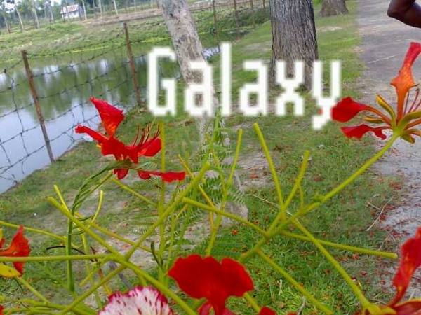 সকল জাভা ফোনে ও পিসিতে ডাউন লোড করে লাইফ টাকে ইন জয় করুন গ্যালাক্সিতে।