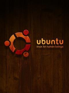 আপনার ফোনে ফ্লাশিং করুন উবুন্টু[অ্যাডভান্স ইউজার Only]