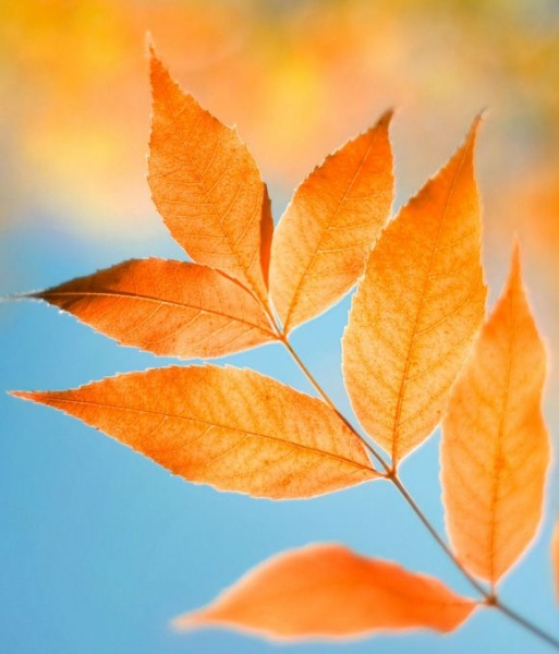 এগিয়ে যাচ্ছে বাংলার ওয়েব দুনিয়াঃ সাথে আরও যা হচ্ছে . . .