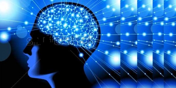 মস্তিষ্কের কতটুকু আমাদের কাজে লাগে? সারা জীবনে মাত্র ১০% ?