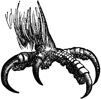 এই নিয়েছে ঐ নিল যাঃ! কান নিয়েছে চিলে(এটিএম বুথের তথ্য ফাস, আপনিও ছুটছেন না তো?)….