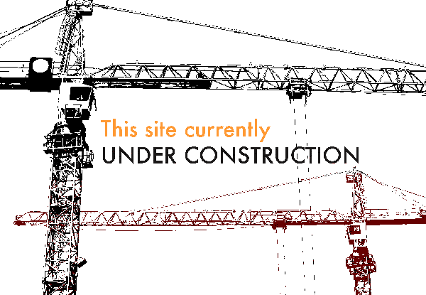 blogger এ বানানো সাইট কাস্টম ডোমেইন এ publish করতে চাই