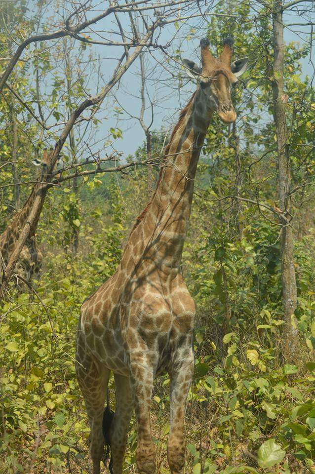 টেকটিউনস এর এডমিন মোডারেটরদের প্রতি- এগুলা কী ভাই? না জেনেই আমার টিউন এ অযথা টিউমেন্ট করে টিউন পেন্ডিং এ ফেলিয়ে রাখেন কেন?