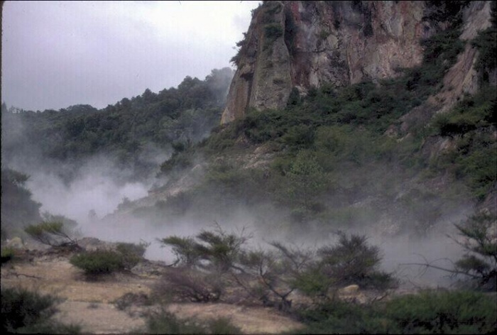 সাহায্য চাই জানতে চাই