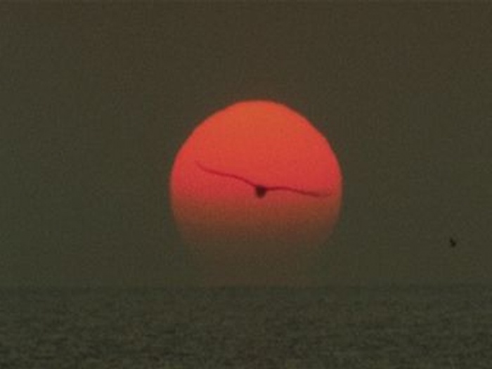 সৌরশক্তি দিয়ে চলবে রেফ্রিজারেটর ( স্বপ্ন নয় সত্যি)