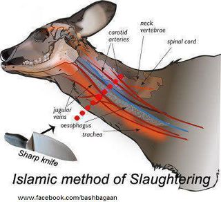 একবার হলেও দেখে জান, না দেখলে অনেক কিছুই অজানা থেকে যাবে