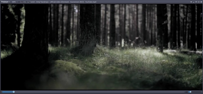 ডাউনলোড করে নিন বর্তমান সময়ের সব থেকে জনপ্রিও অডিও আর ভিডিও প্লেয়ার পট প্লেয়ার