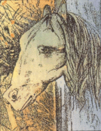 কতগুলো জিফ এনিমেশন :: ও এনিমেশন সম্পর্কে কিছু কথা