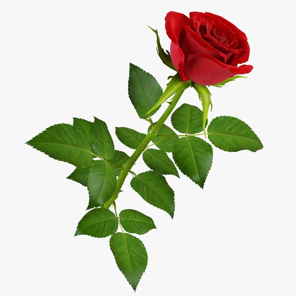 রবীন্দ্রনাথের মৃত্যুতে নজরুলের স্বকন্ঠের একটি আবৃত্তি :: শুনুন ও সংগ্রহে রাখুন!!!