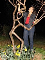 অদ্ভুত রহস্যময় গাছ :: চেষ্টা করলে আমরাও তৈরী করতে পারবো!!!