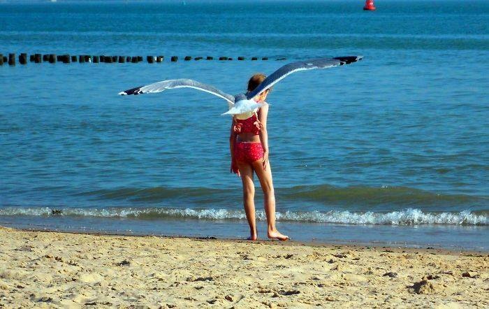 ফেসবুক পেজে আপনার সকল বন্ধুদেরকে ইনভাইট জানান সবচেয়ে কম সময়ে !!!