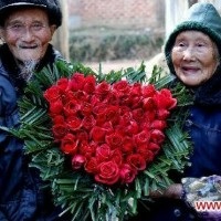 ভালবাসা দিবস চলে যাক, কিন্তু ছবিগুলো দেখে আবার ভালবাসতে ইচ্ছে করবে। ভালবাসার কিছু সেরা ফটো কালেকশন।