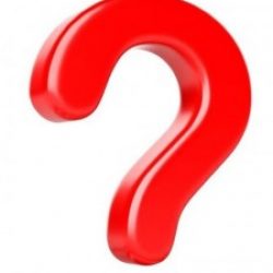 Profile picture of বদরুল আলম