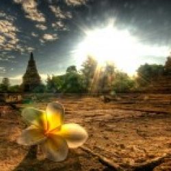 Profile picture of শাওন আহম্মেদ