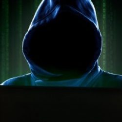 Profile picture of শাওন সাহা