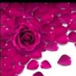 Profile picture of মোহাম্মদ আকিব হোসেন