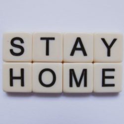 Profile picture of ফ্রীলান্সার মিরাজ