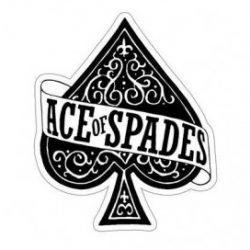 Profile picture of MEHEDI