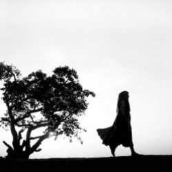 Profile picture of মারুফ হোসেন