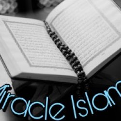 Profile picture of মোঃ রনি সরদার