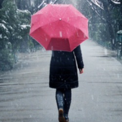 Profile picture of ইশিতা তাবাসসুম