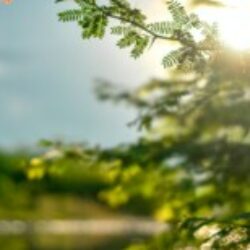 Profile picture of মোঃ আতিকুর রহমান