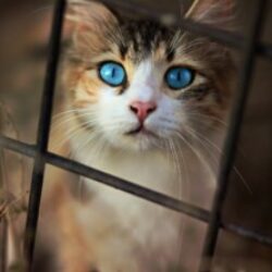 Profile picture of ছামছুর রহমান