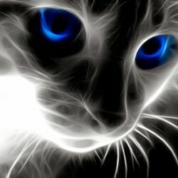 Profile picture of মিনারা মাইমুন মেহেদী