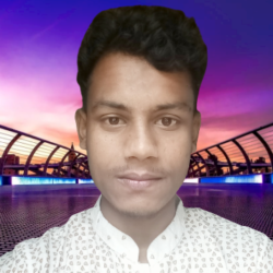 Profile picture of মোঃশামীম হোসাইন