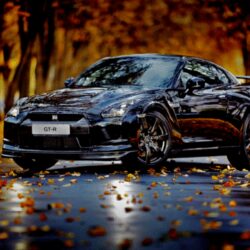 Profile picture of ZILHOZ