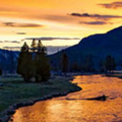 Profile picture of মো জিহাদি হাসান