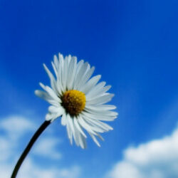 Profile picture of মোছাঃ মাহিয়া খাতুন