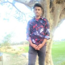 Profile picture of মামুন হোসেন