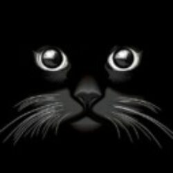 Profile picture of তাউসিফ রহমান