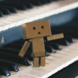 Profile picture of মোঃশাওন সরদার