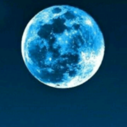 Profile picture of আবরার হোসাইন